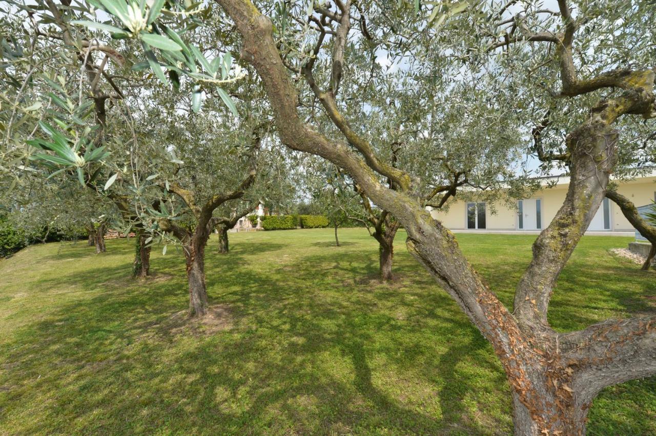 Albergo Panoramica Bardolino Exteriör bild